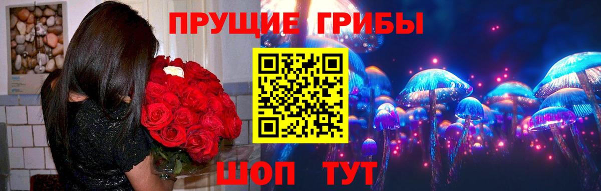 купить   Галлюциногенные грибы Cubensis  Вход с VPN  Топки  Галлюциногенные грибы Psilocybine cubensis 
